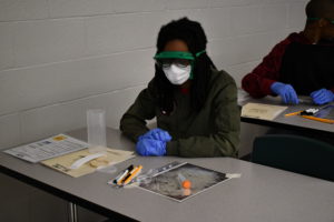 Littlefield Middle School takes part in Bionetwork Photos