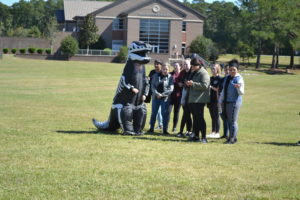 Tug of War Competition