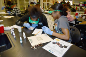 Littlefield Middle School takes part in Bionetwork Photos