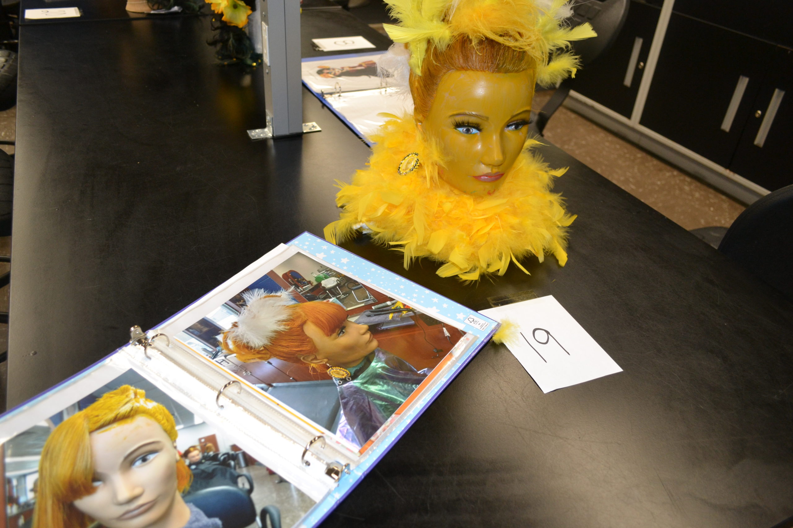 Cosmetology fantasy displays