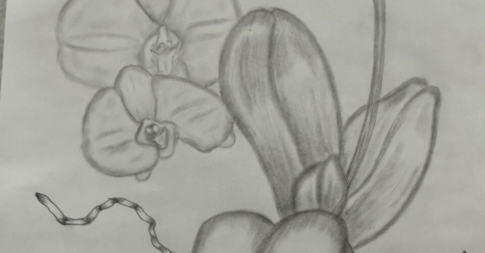 Header Image