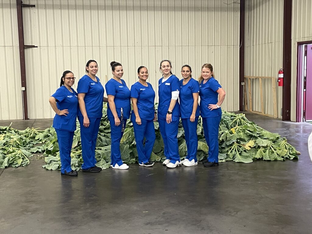 RCC’s Nursing Students give back this holiday season