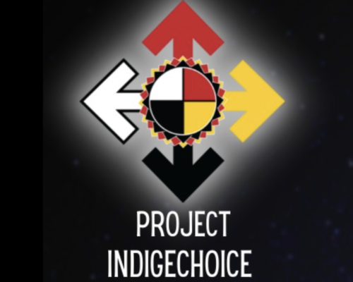 Free Summer Camps at RCC Project Indigechoice