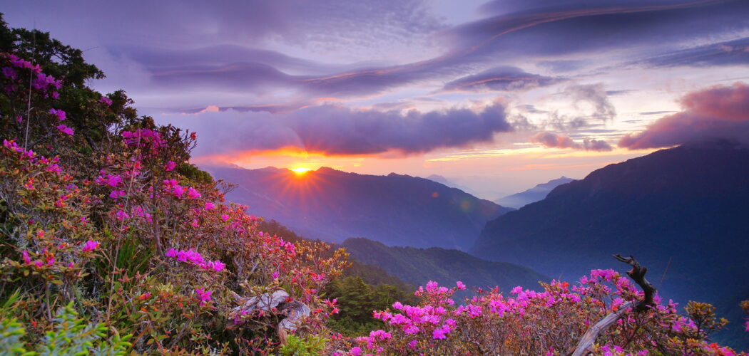 Header Image